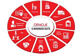 Oracle E-Business Suite Danışmanlığı