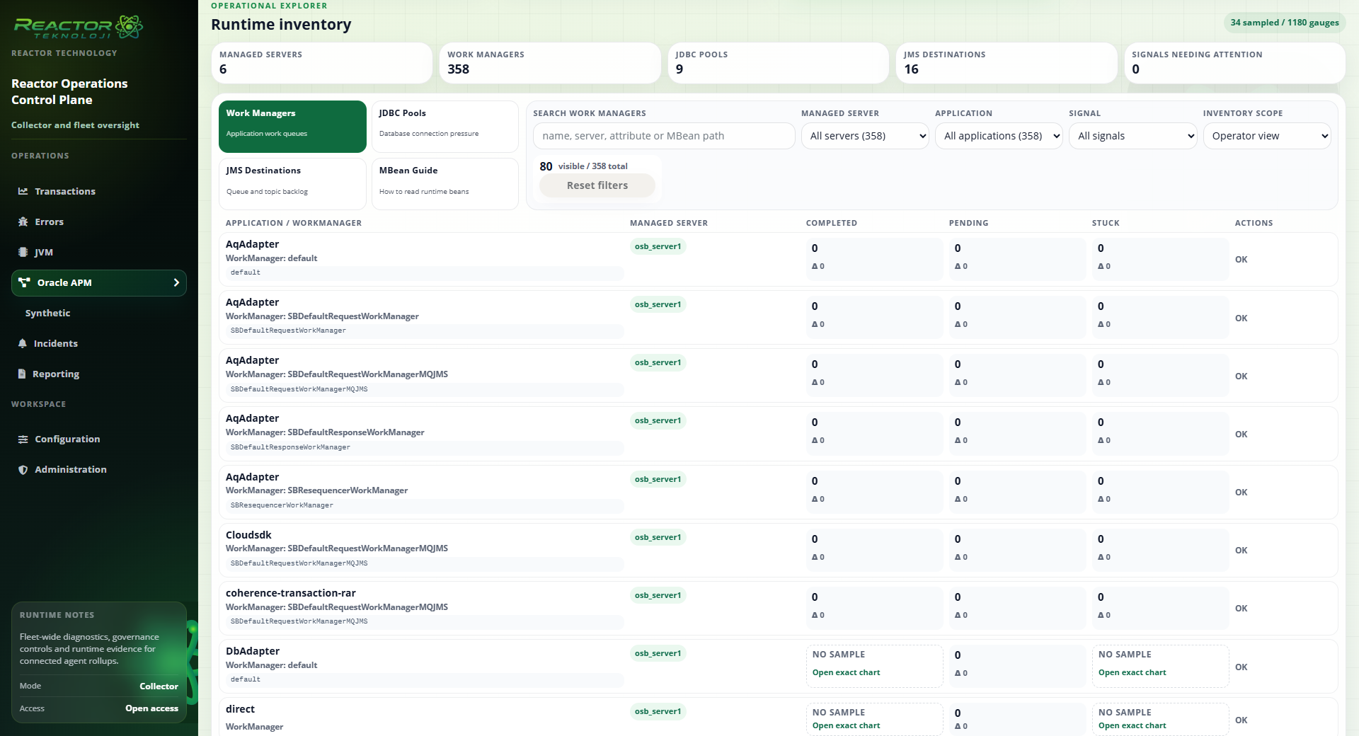 Reactor ESB APM runtime inventory ekranı